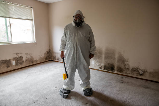 Mold Remediation for Vacation Homes in Toftrees, PA